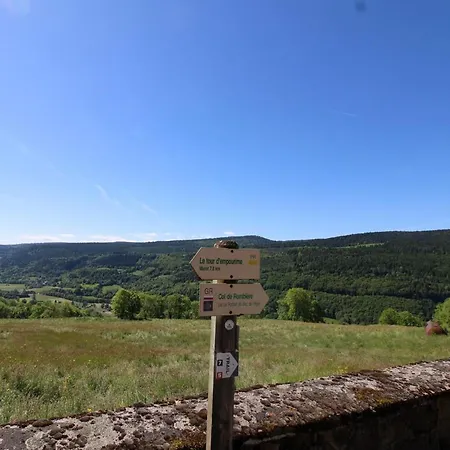 Hébergement de vacances Maison Renovee Proche Super-lioran Avec Parking, Wi-fi Et Jardin - Fr-1-742-560 *